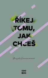 E-kniha Říkej tomu, jak chceš - Brigid Kemmererová