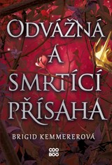 E-kniha Odvážná a smrtící přísaha - Brigid Kemmerer
