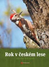 E-kniha Rok v českém lese - kolektiv