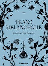 E-kniha Transmelancholie - Zašek