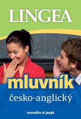 E-kniha Česko-anglický mluvník - kolektiv autorů