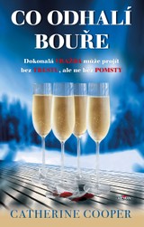 E-kniha Co odhalí bouře - Catherine Cooper