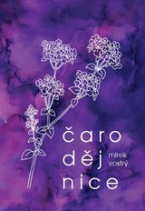 E-kniha Čarodějnice - Mirek Vostrý