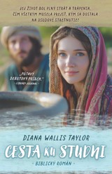 E-kniha Cesta ku studni - Diana Wallis Taylor