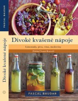 E-kniha Divoké kvašené nápoje - Pascal Baudar