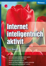 E-kniha Internet inteligentních aktivit - Pavel Burian