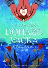 E-kniha Dohazovačka spřízněných duší - Lynda Cohen Loigman
