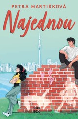 E-kniha Najednou - Barbora Žižková, Petra Martišková