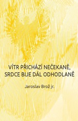 E-kniha Vítr přichází nečekaně, srdce bije dál odhodlaně - Jaroslav Brož jr.