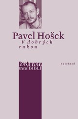 E-kniha V dobrých rukou - Petr Vaďura, Pavel Hošek