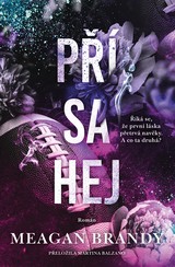 E-kniha Přísahej - Meagan Brandy