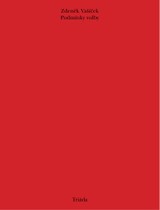 E-kniha Podmínky volby - Zdeněk Vašíček