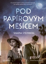 E-kniha Pod papírovým měsícem - Shaina Steinberg