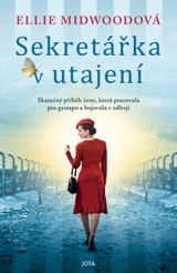 E-kniha Sekretářka v utajení - Ellie Midwoodová