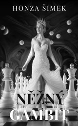 E-kniha Něžný gambit - Honza Šimek