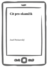 E-kniha Cit pro okamžik - Josef Pecinovský
