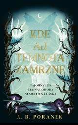 E-kniha Kde aj temnota zamrzne - B. A. Poranek