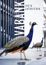 E-kniha Vabank - Iveta Zatovičová