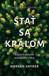 E-kniha Stať sa kráľom - Morgan Snyder