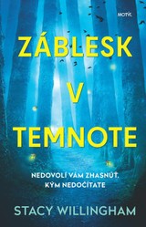 E-kniha Záblesk v temnote - Stacy Willingham
