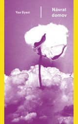 E-kniha Návrat domov - Yaa Gyasi