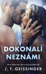 E-kniha Dokonalí neznámi - J. T. Geissinger