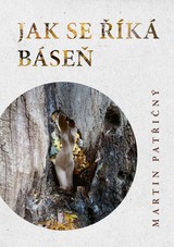 E-kniha Jak se říká báseň - Martin Patřičný