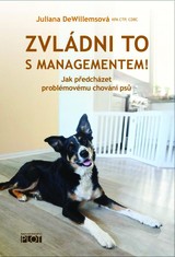 E-kniha Zvládni to s managementem! - Juliana DeWillemsová