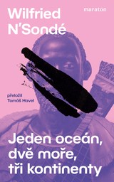 E-kniha Jeden oceán, dvě moře, tři kontinenty - Wilfried N’Sondé