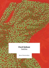 E-kniha Sněžím - Pavel Kohout