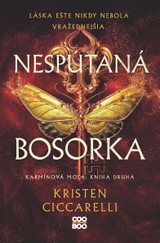 E-kniha Nespútaná bosorka - Kristen Ciccarelli