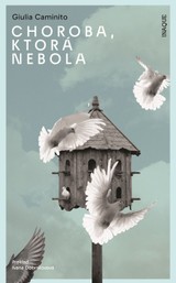 E-kniha Choroba, ktorá nebola - Giulia Caminito