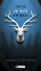 E-kniha Toto je náš príbeh - Ashley Elston