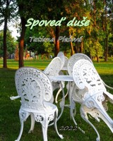 E-kniha Spoveď duše - Tatiana Plešová