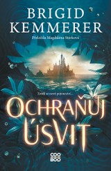 E-kniha Ochraňuj úsvit - Brigid Kemmerer