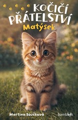 E-kniha Kočičí přátelství - Matýsek - Martina Boučková