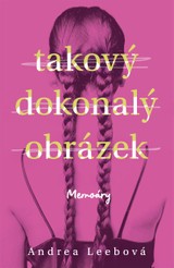 E-kniha Takový dokonalý obrázek - Andrea Leeb