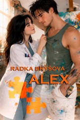 E-kniha Alex - Radka Bryšová