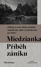 E-kniha Miedzianka - Filip Springer