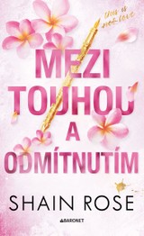 E-kniha Mezi touhou a odmítnutím - Shain Rose