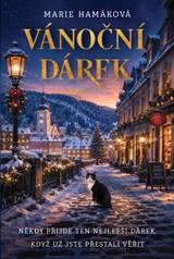 E-kniha Vánoční dárek - Marie Hamáková