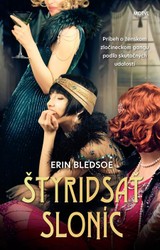 E-kniha Štyridsať sloníc - Erin Bledsoe