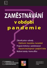 E-kniha Zaměstnávání v období pandemie - Ladislav Jouza Petr Taranda, Ivan Macháček