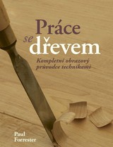 E-kniha Práce se dřevem - Paul Forrester