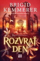 E-kniha Rozvrať den - Brigid Kemmerer