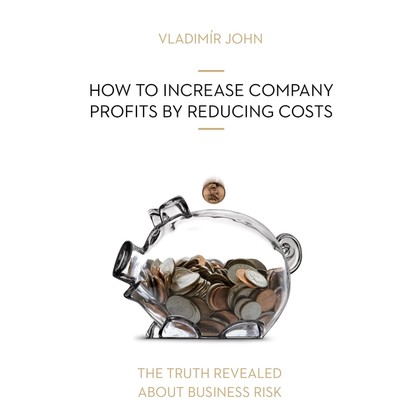 Audiokniha HOW TO INCREASE COMPANY PROFITS BY REDUCING COSTS - Julie Dawn Cole, Rupert Degas, Vladimír John