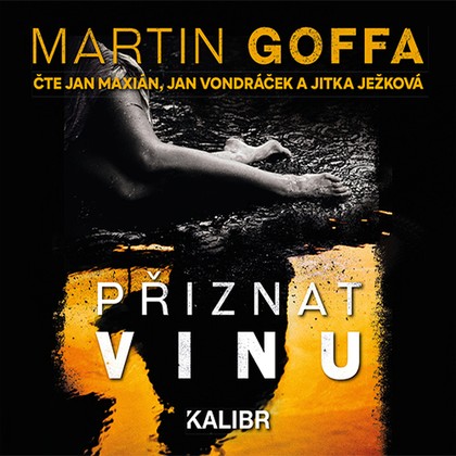 Audiokniha Přiznat vinu - Jan Vondráček, Jan Maxián, Jitka Ježková, Goffa Martin