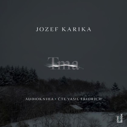 Audiokniha Tma - Vasil Fridrich, Jozef Karika