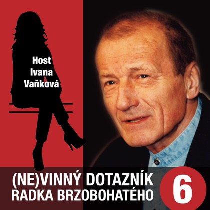 Audiokniha (Ne)vinný dotazník Radka Brzobohatého 6. - Radoslav Brzobohatý, Ivana Vaňková, Radoslav Brzobohatý