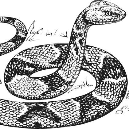 Audiokniha Hadí kůže - Luděk Munzar, František Hanus, Karel Beníško, František Smolík, Ljuba Benešová, Růžena Merunková, František Pavlíček